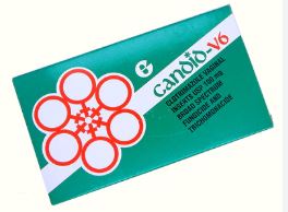 CANDID V6 100MG 1 OVULE