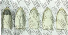 GLYCERINE GIFRER SUPPO. ADULT 1.98G B/10
