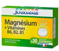 JUVAMINE FIZZ MAGNESIUM VIT.B6,B2 TAB EFF.B/30 SUG